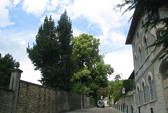 bergame 2