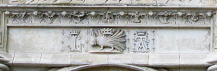 chat blois 7