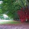 Abbaye de Noirlac - le parc, l'allée des tilleuls et une installation  de Rainer Gross : « Carrément révolu ».