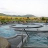 Resort Barrière Ribeauvillé- espace Balnéo. "Le lac des cratères" eau à 34° (comme dans le bassin intérieur) en toutes saisons. Jacuzzi, jets de massage, nage à contre-courant… dans la quiétude du petit matin alsacien.