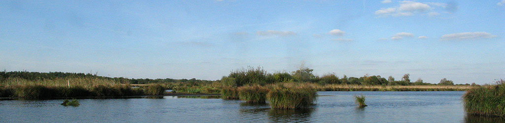 La Grande Brière Mottière, piarde du côté de Bréca