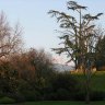  Evian-les-Bains - la terrasse et le parc de l'hôtel Ermitage