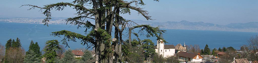 Evian, le lac Léman vu des jardins de l'hôtel Ermitage