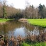 golf de La Bretesche - l'obstacle d'eau du 8 (Par 4  long 384 m des blanches en dogleg à gauche) 