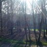 golf de La Bretesche - la forêt entre le 4 et le 5 (Par 4)  qui sont parallèles 