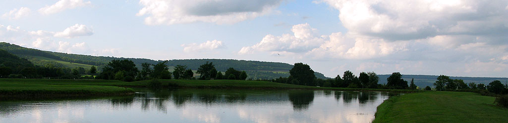 Golf du château de Chailly-sur-Armançon - le trou n° 15