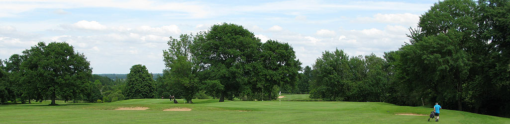 Golf des Dryades à Pouligny-Notre-Dame - green du 1