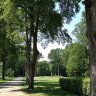 Golf d'Ozoir la Ferrière - parcours Château - Monthéty - l'arrivée au 10 (Par 3)