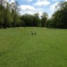 Golf d'Ozoir la Ferrière - parcours Château - Monthéty - le green du 8