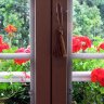 Uriage est en Isère, les géraniums rouges au balcon s'imposent.