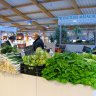 Le stand de la maison Pivault dans le marché provisoire.