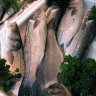 La poissonnerie Ledreux. Bars de ligne, une des spécialités de la maison