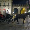 Vérone - piazza Bra - calèche attendant les clients devant les restaurants du Liston.